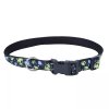 _0034_1-3 Exclusive Styles Dog Collar (4)