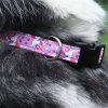 _0033_1-3 Exclusive Styles Dog Collar (5)