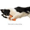 Eco-Friendly Nibble Bone Christmas Funny Rubber Pet Dog Chew Toy (4)