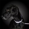 _0027_1-4 Reflective Open-Design Adjustable Collar (4)