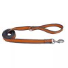 _0058_3-2 Pro Reflective Dog Leash (3)