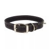 _0003_1-9 Oak Tanned Leather Double-Ply Spiked Dog Collar (2)