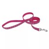 _0023_3-8 Nylon Dog Leash (1)