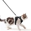 Breathable Air Mesh Cat Vest H3