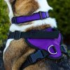 _0028_2-5 Adjustable Dog Harness with Handle (2)